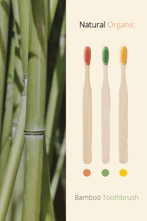 Bamboo Toothbrush