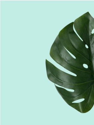 Natural Items