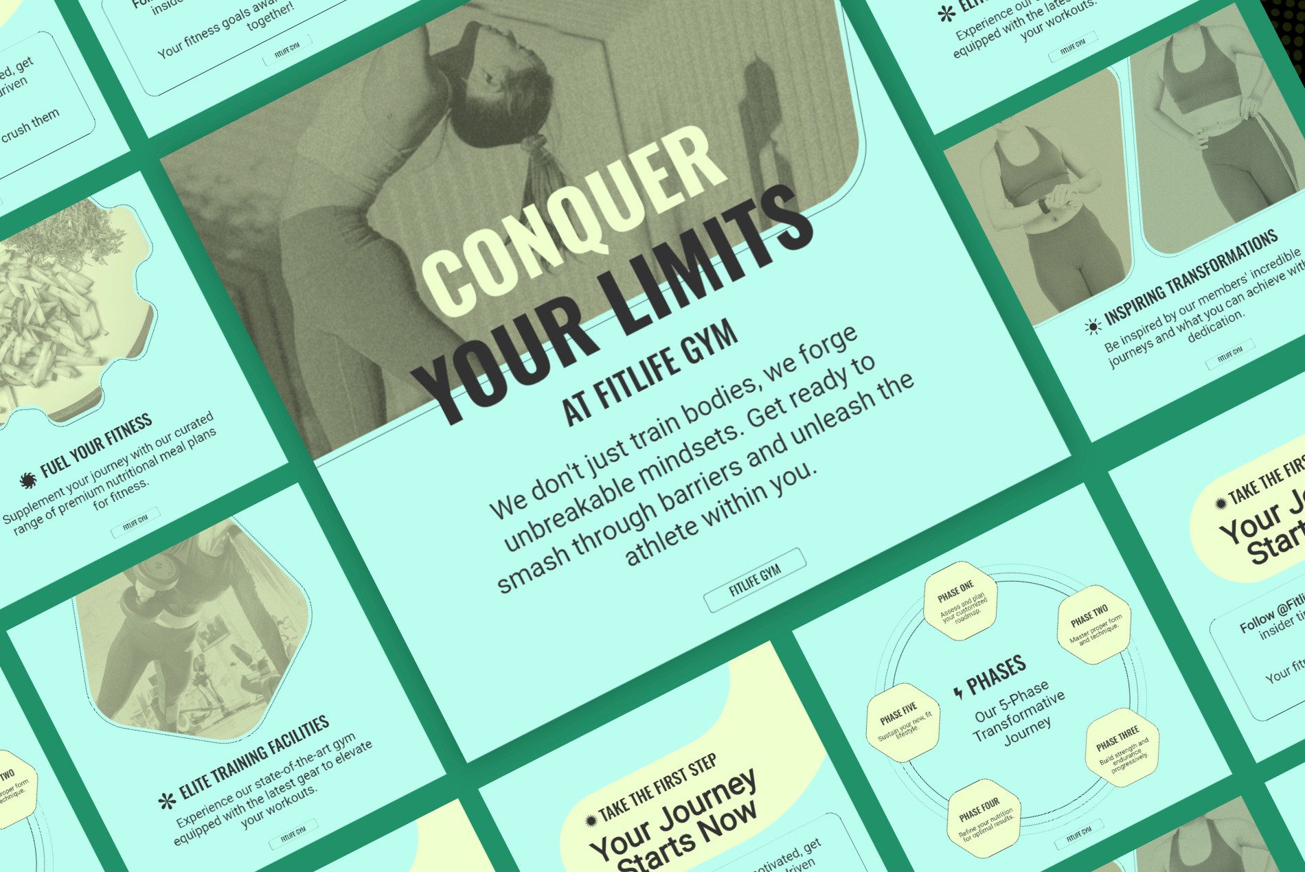 Fitness Revelation Carousel Kit