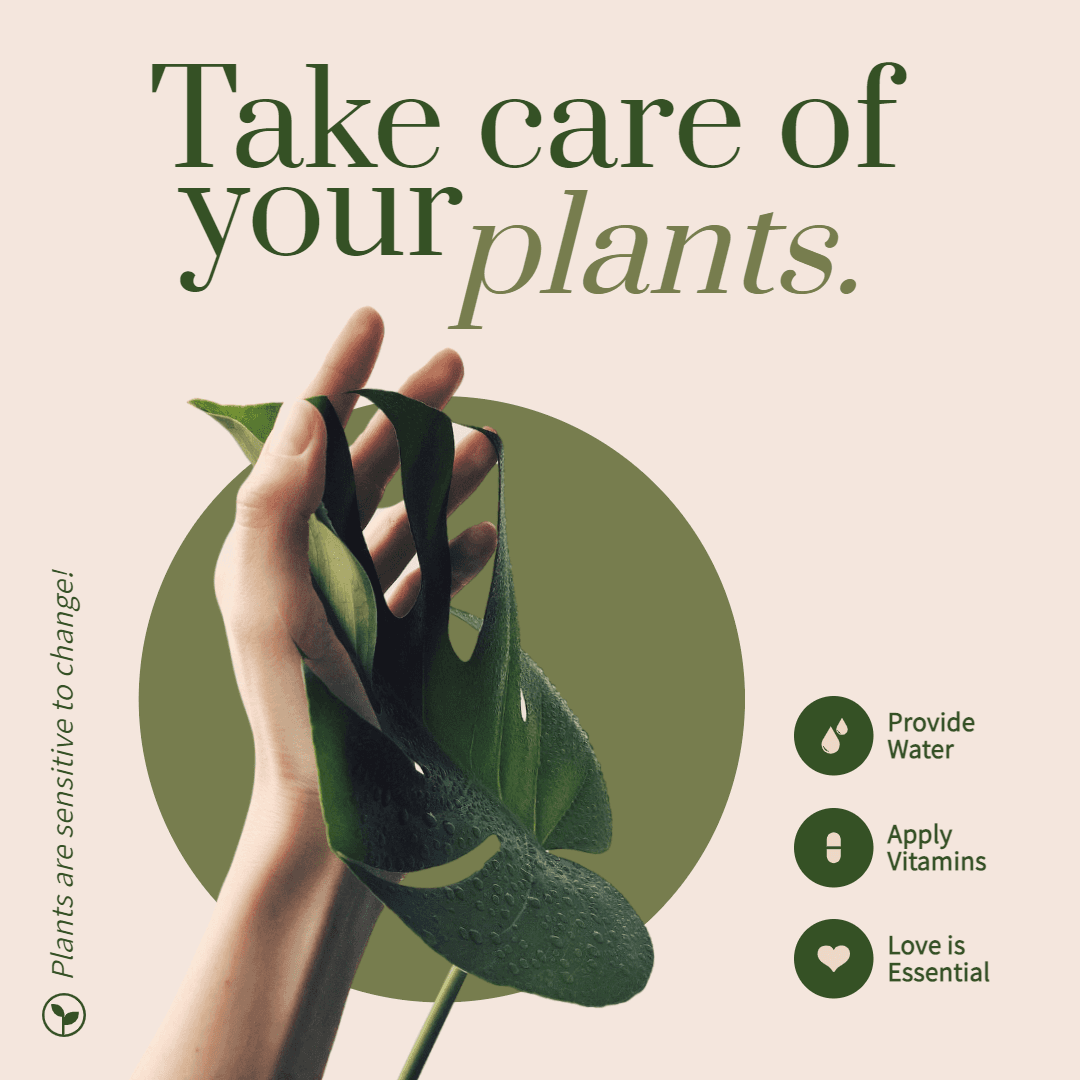 Plants Care Instagram Post